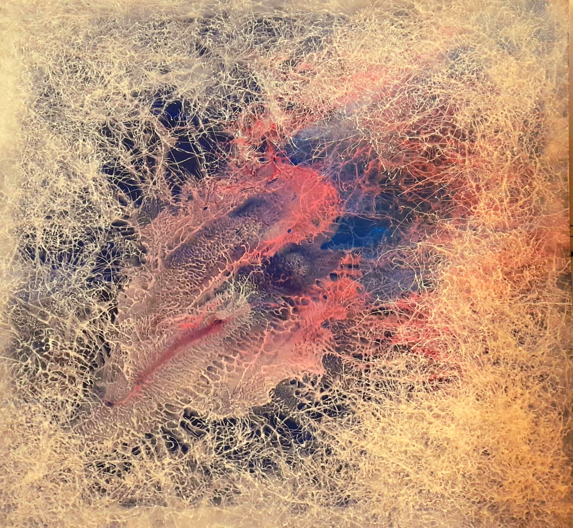 Fragility of the heart — MDF + acrylic + frame, 100 × 100 cm